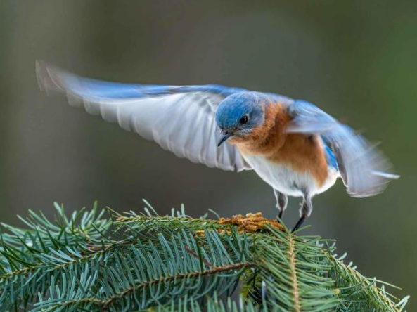 總結(jié)匯算清繳方法，附34個(gè)重點(diǎn)核查事項(xiàng)