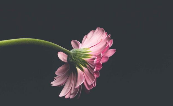 分期繳納土地款支付的利息是否可抵扣、扣除