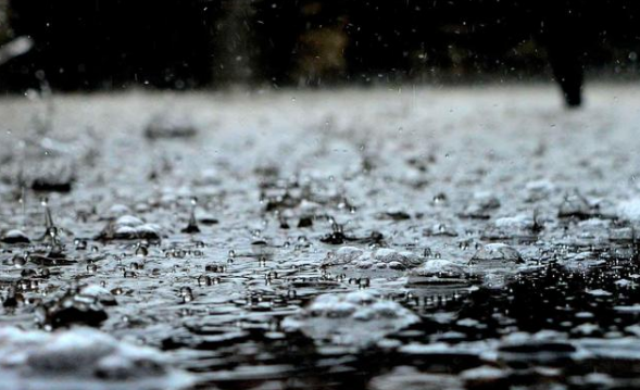 我企業(yè)賬上有盈余公積100萬元，能否全部轉(zhuǎn)增實(shí)收資本？