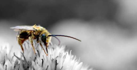 多重合伙架構(gòu)中轉(zhuǎn)讓持股公司股權(quán)納稅義務(wù)發(fā)生地點的確認