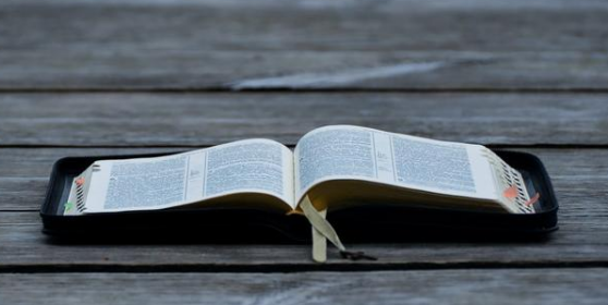 近期各稅局熱點(diǎn)稅收問題答復(fù)