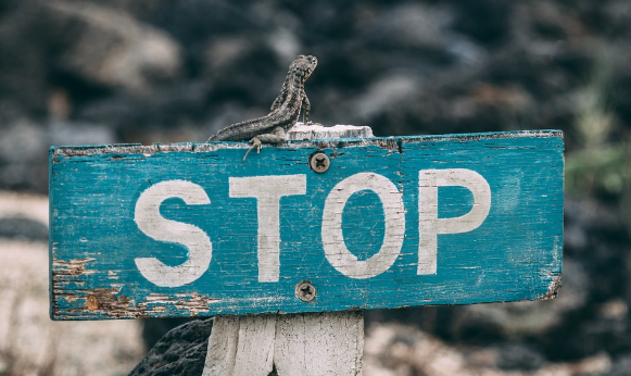 不得在拍賣公告中要求買受人概括承擔(dān)全部稅費(fèi)