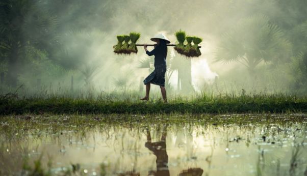 勞務(wù)派遣業(yè)務(wù)的8個(gè)稅務(wù)問題處理