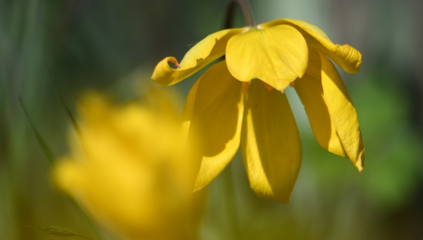 納稅信用如何補(bǔ)評、復(fù)評和修復(fù)？