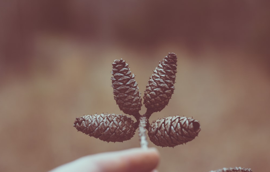 主體不同，稅負(fù)不同，看看這4組案例！