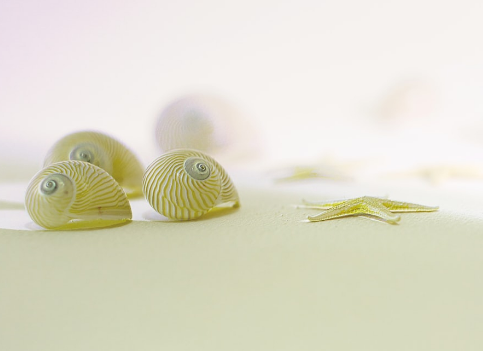 投資性房地產(chǎn)核算的會計與稅法差異