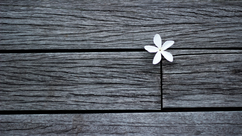 目前少見(jiàn)稽查案例！對(duì)外虛開(kāi)補(bǔ)繳增值稅