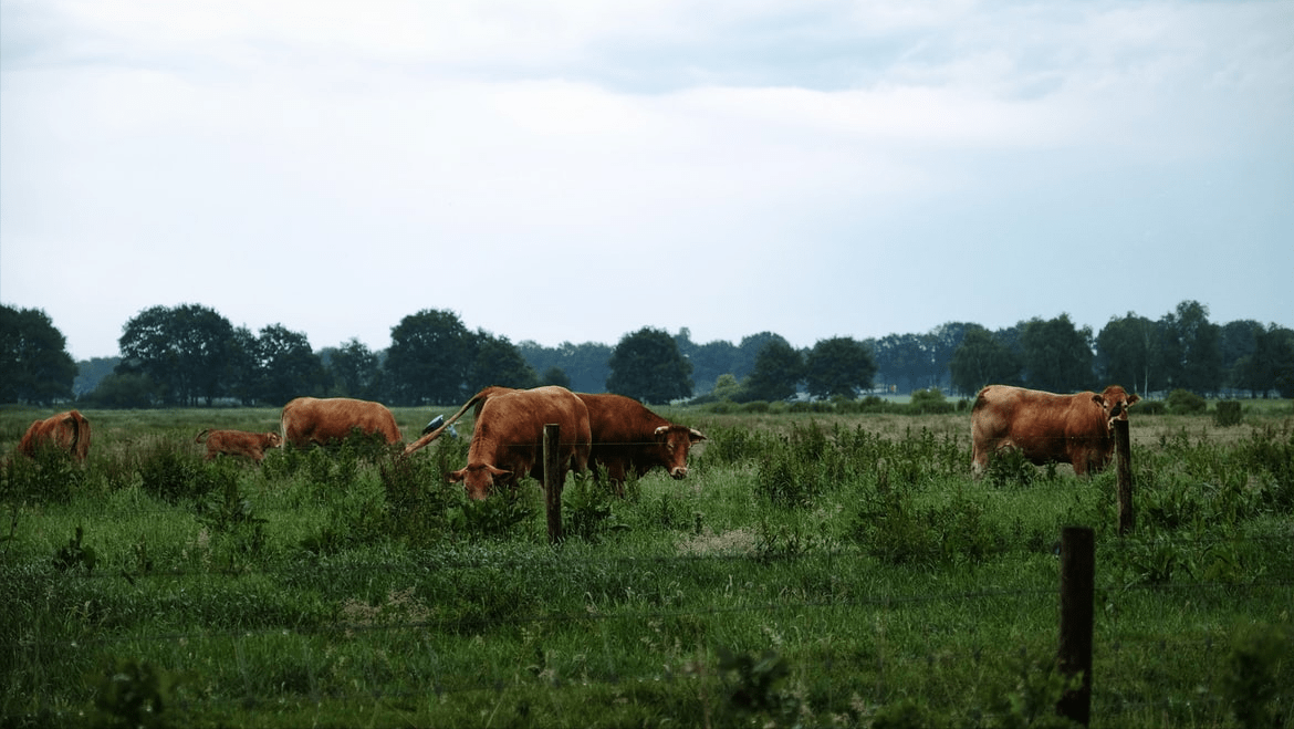 不少上市公司通過剝離虧損資產(chǎn)改善業(yè)績 “斷臂求生”，“臂”價幾何