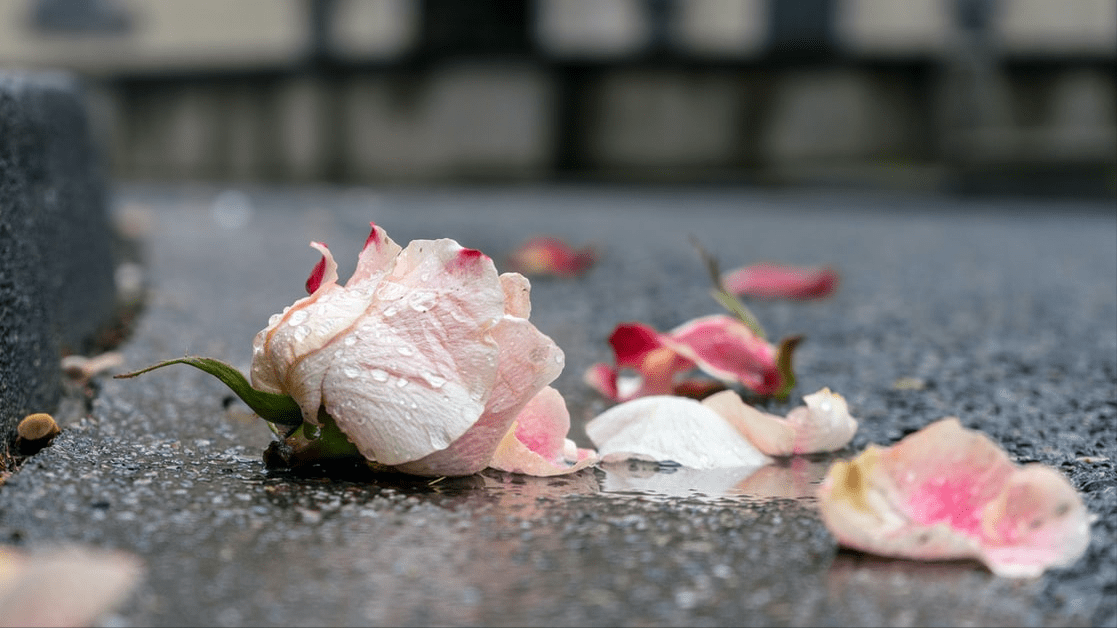 適用特殊性稅務(wù)處理,合并方可彌補的虧損額如何確定？