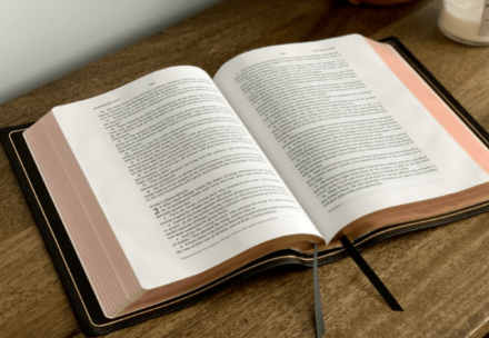 最高檢、公安部發(fā)布最新涉稅刑事案件立案標(biāo)準(zhǔn)（附新舊對(duì)照表）及變化