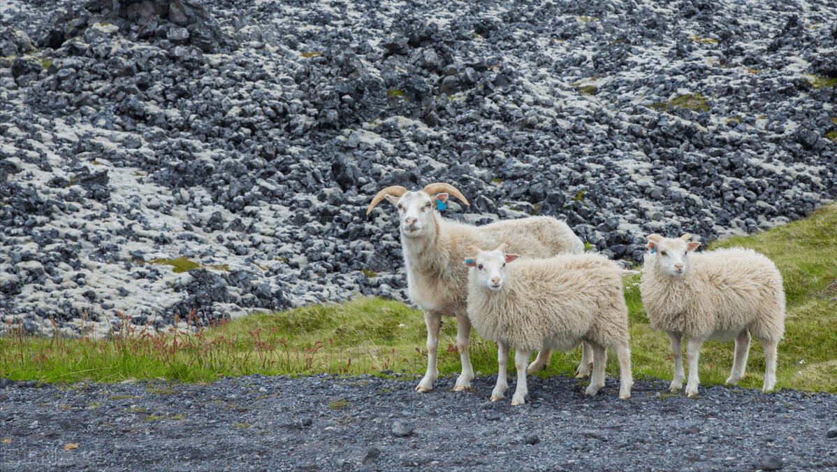 三個(gè)稅種存在共性稅務(wù)風(fēng)險(xiǎn)
