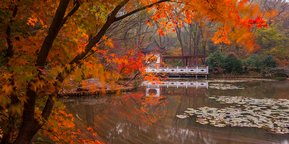 南京棲霞注冊（辦理）公司營業(yè)執(zhí)照準(zhǔn)備哪些資料？