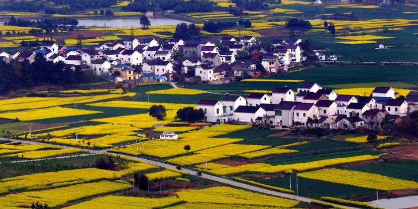 南京高淳財(cái)務(wù)代賬_小規(guī)模代理記賬能提供哪些服務(wù)？